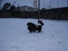 Blacky et la neige